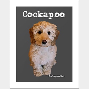 Cockapoo Dog Posters and Art